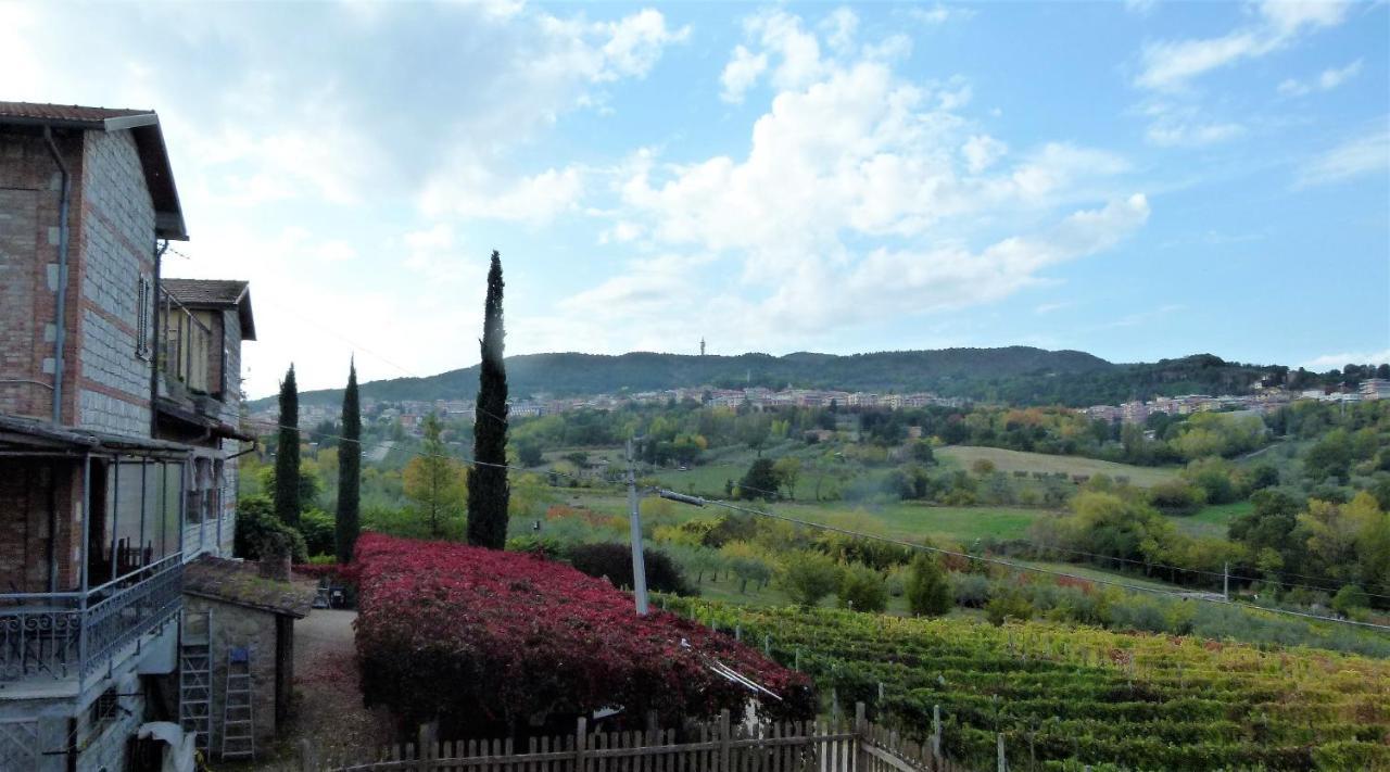 Agriturismo La Pietriccia Chianciano Terme Dış mekan fotoğraf