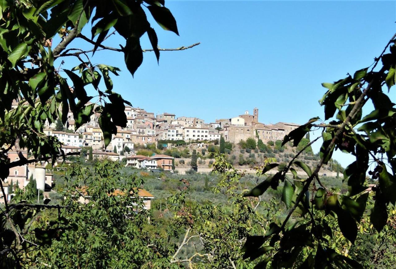 Agriturismo La Pietriccia Chianciano Terme Dış mekan fotoğraf