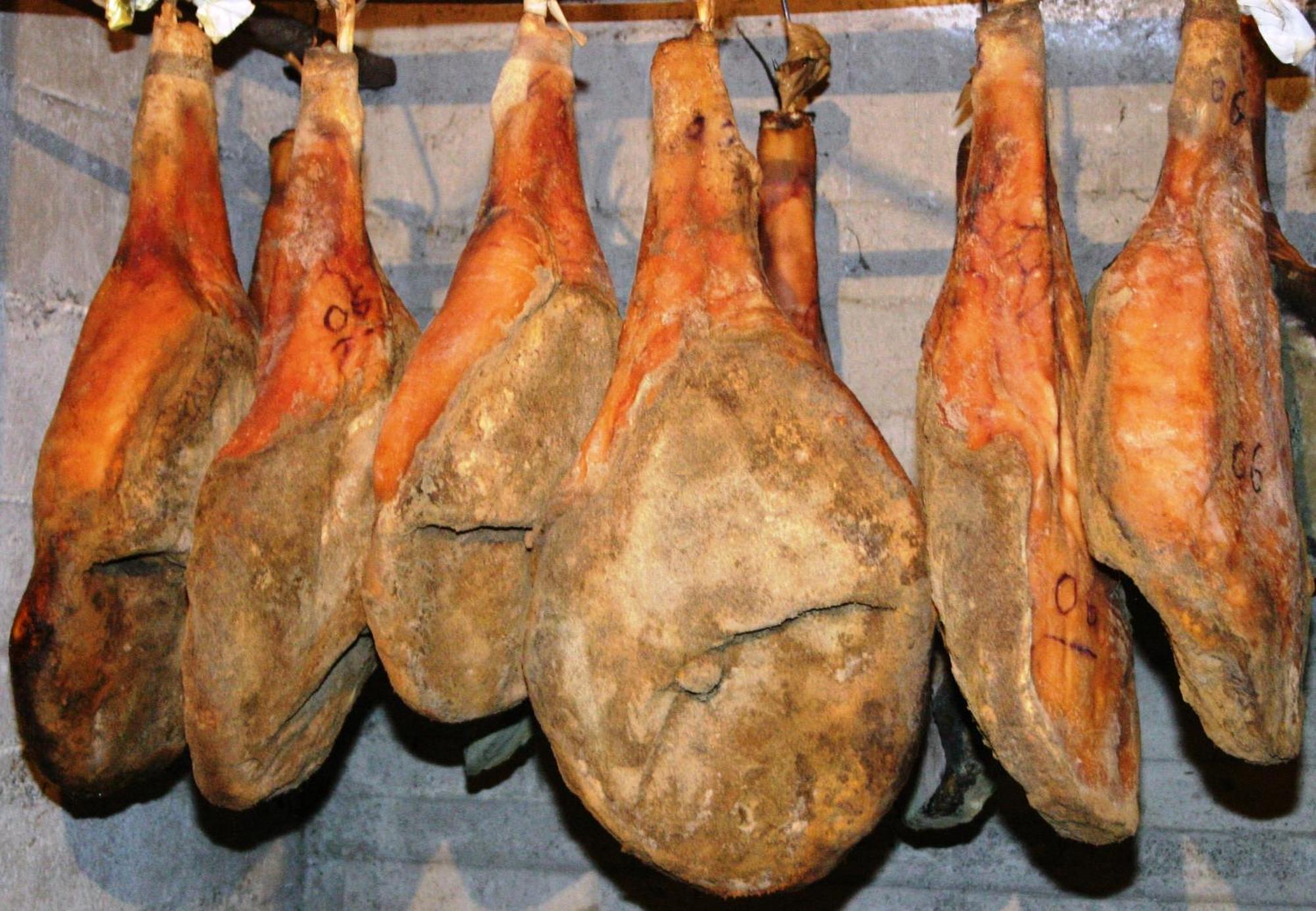 Agriturismo La Pietriccia Chianciano Terme Dış mekan fotoğraf