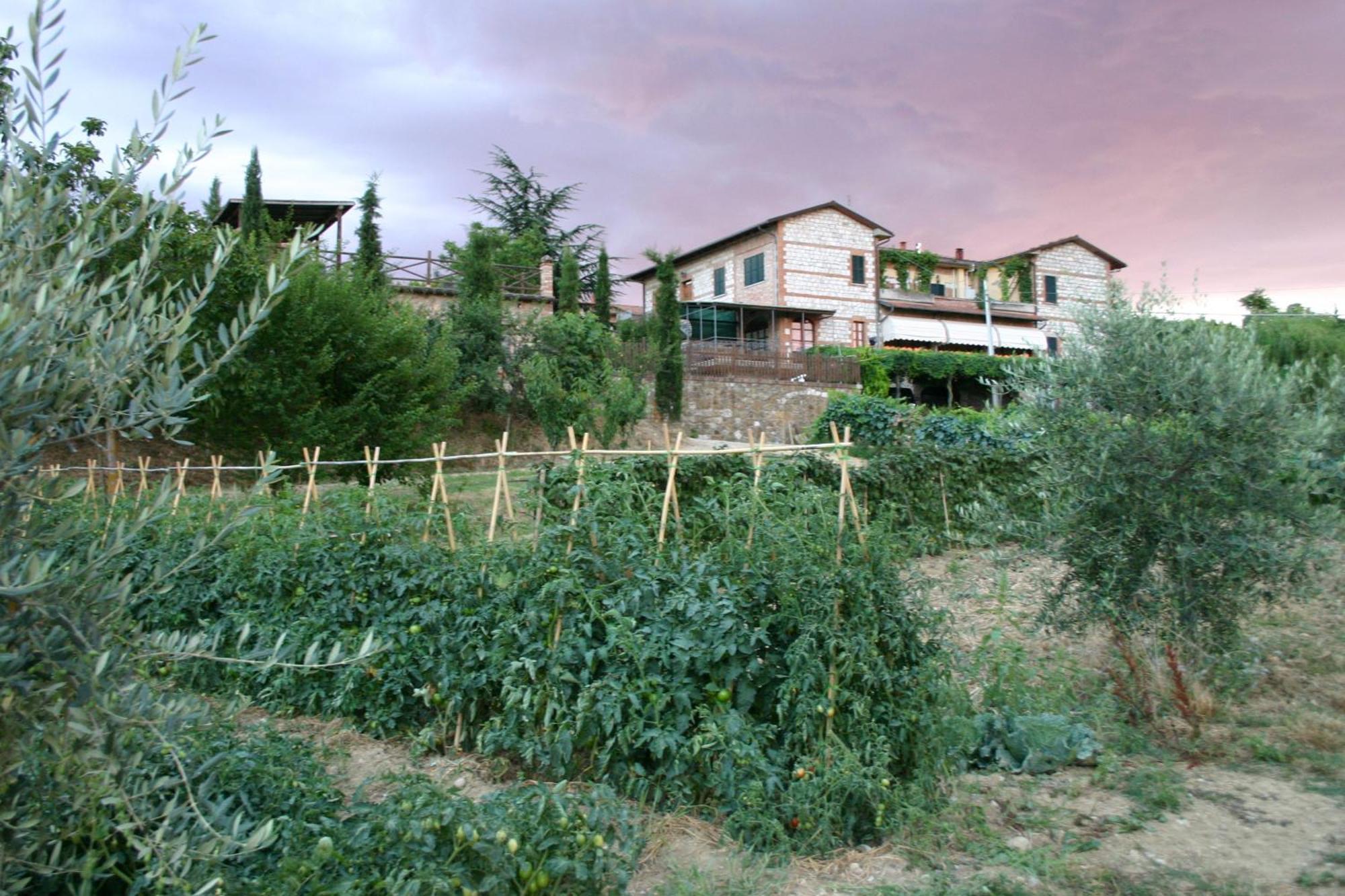 Agriturismo La Pietriccia Chianciano Terme Dış mekan fotoğraf