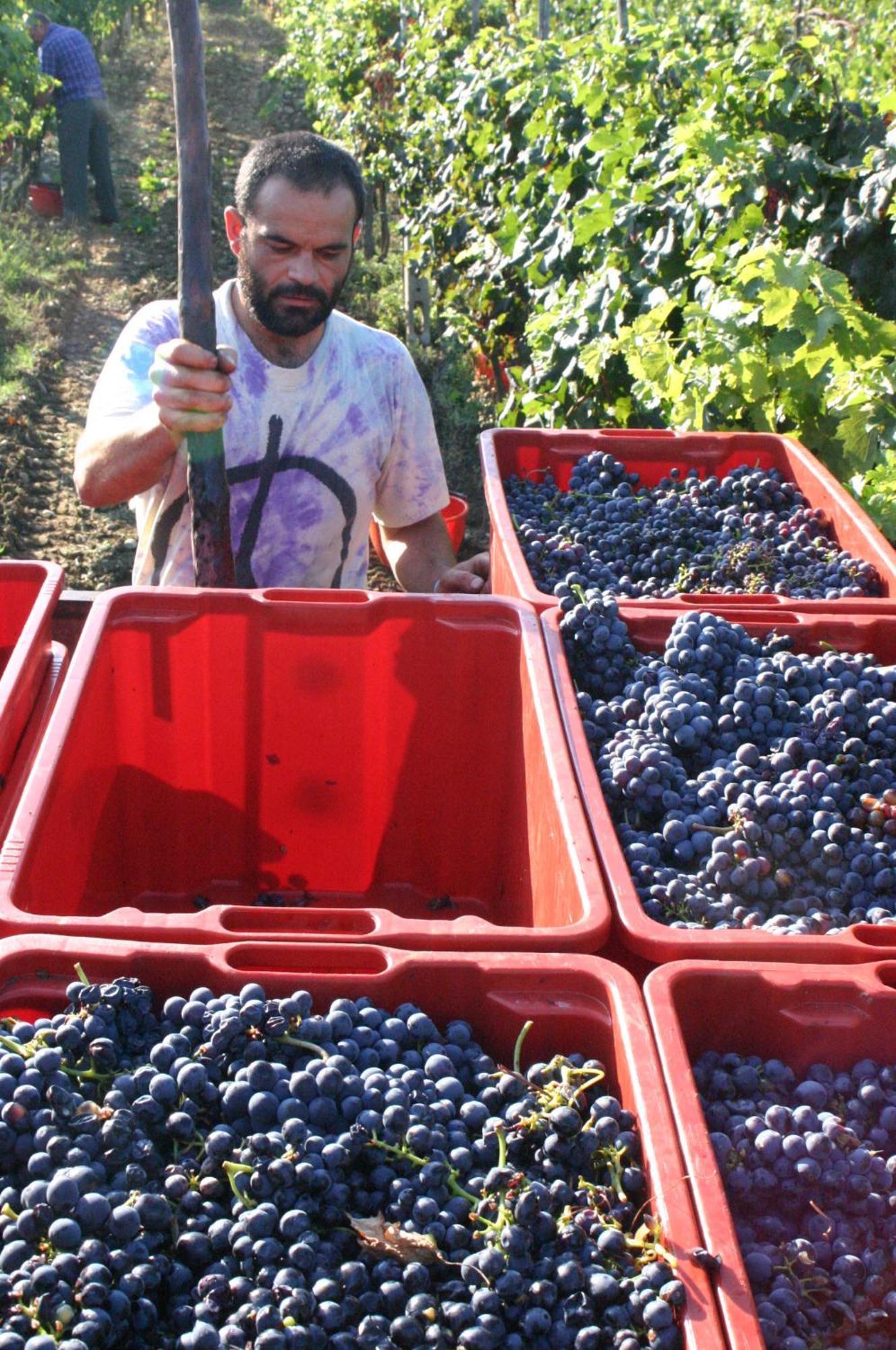 Agriturismo La Pietriccia Chianciano Terme Dış mekan fotoğraf