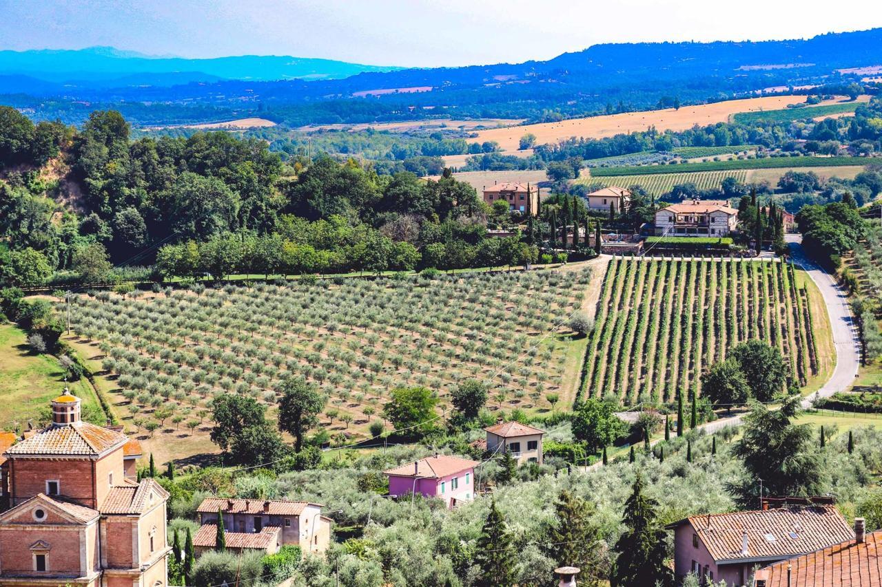 Agriturismo La Pietriccia Chianciano Terme Dış mekan fotoğraf