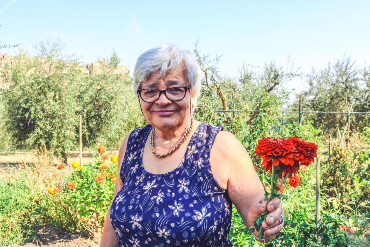 Agriturismo La Pietriccia Chianciano Terme Dış mekan fotoğraf